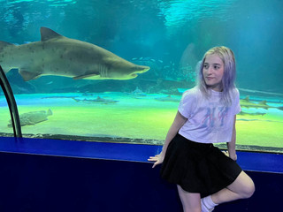 With dolphins