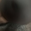 Yndikbb