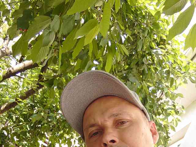 Vitalss198
