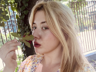 photos