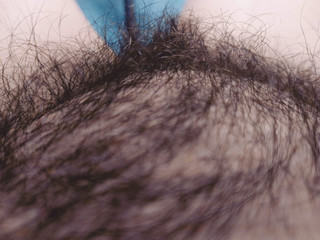 hairy bumblebee