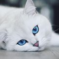 Sanek_EHOT