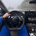 Finn31