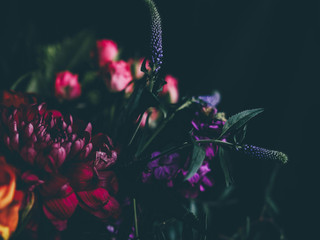 My Photos