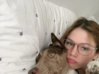 Pets