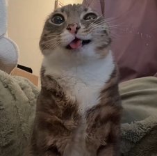 Gdeuee555