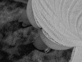 Iulicass