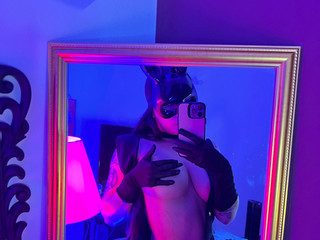 bunny