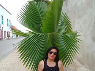 My Photos