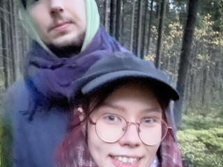 лесок & дома