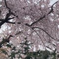 hiroshph0908