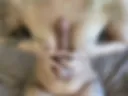 18+