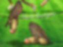 kir