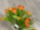 My tits and tulips :*