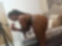 super hot ebony