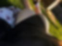 Sofa's juicy ass