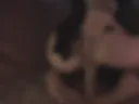 2b
