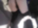 Murr