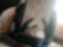 Pussy