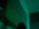 SS