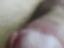 Член