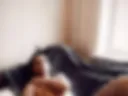 Legs