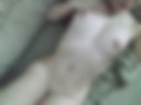 Sisi