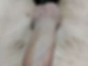 Dick