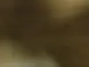 Já 11