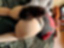 cat with a plug in her ass