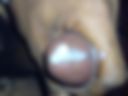 Full Dick Up Ready To Fuck