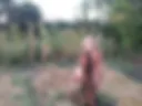 Art19