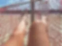 Legs