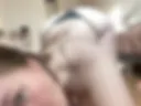 Doggy (photo from the front)