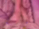 Legs