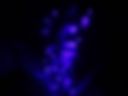 blue light