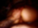 seXXX