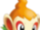 asdqwezxc