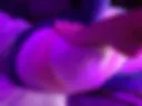 I step on Stas's head with my foot