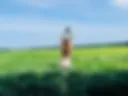 in the wheat field