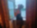 Art16