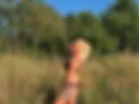 Out