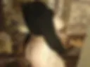 Sexy