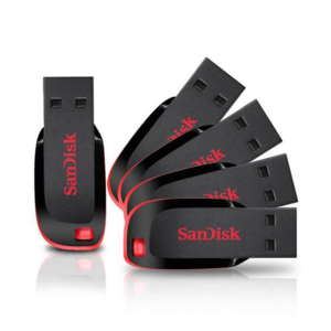 Sandisk 16GB Cruzer Blade