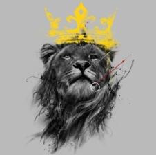 --lion--