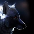 -Warrior13-