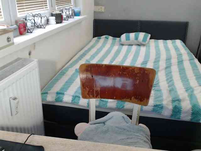 Bessy123 webcam