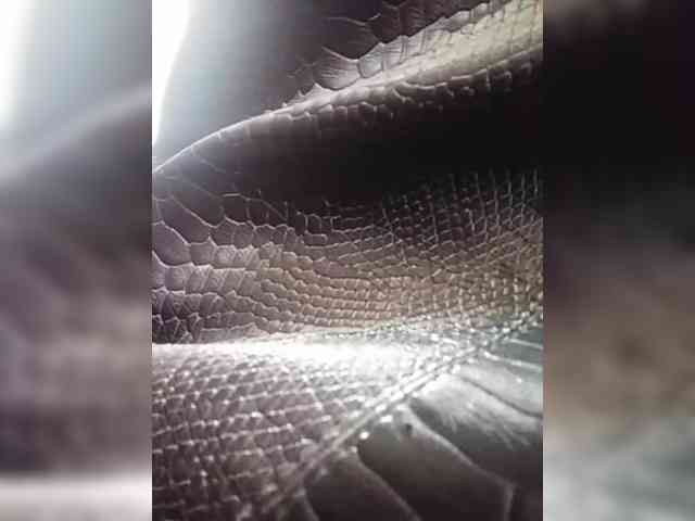 KlientVsegdaPrav webcam