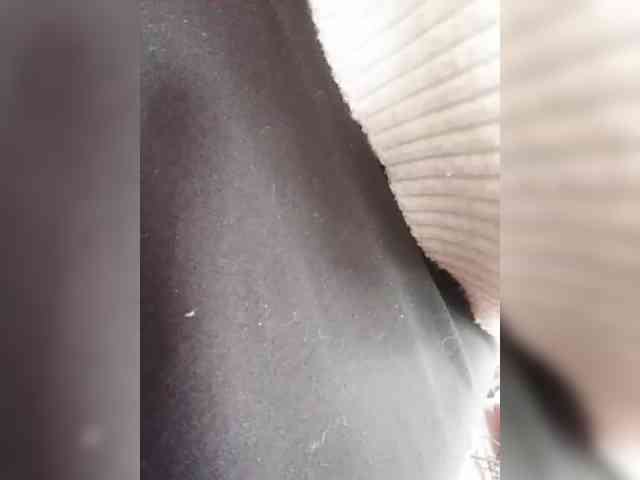 KlientVsegdaPrav webcam