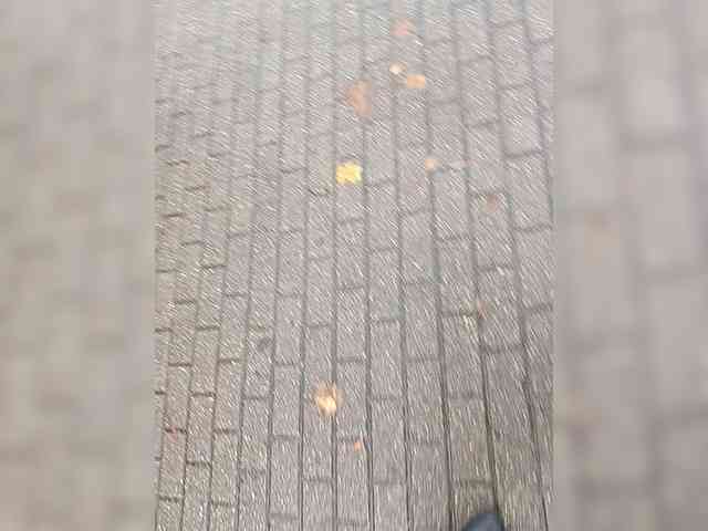 KlientVsegdaPrav webcam